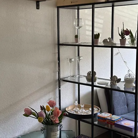 Apartman Spacious Zürich