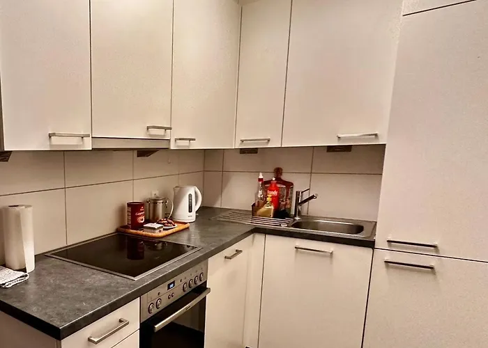 Spacious Apartman Zürich