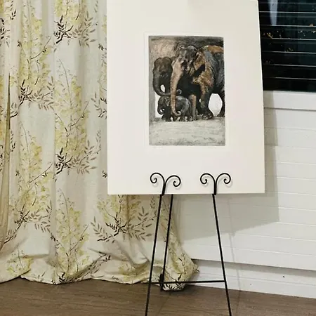 Spacious * 苏黎世