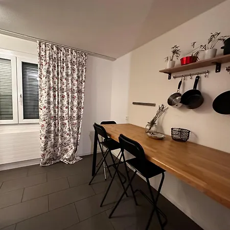 Daire Spacious Zürih